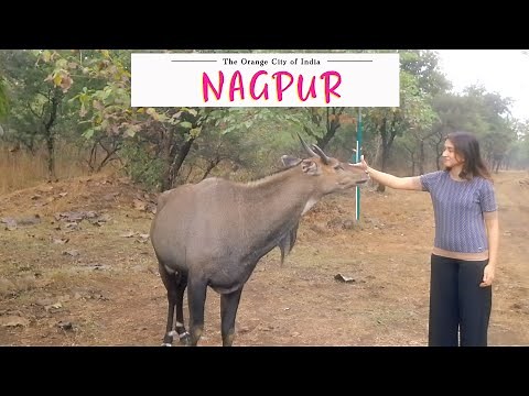 4K| Nagpur | Heart of India | Best places to visit in Nagpur | Exploring Nagpur | Nagpur Tourism