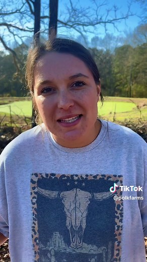 How to Start a Simple Compost Pile for Beginners