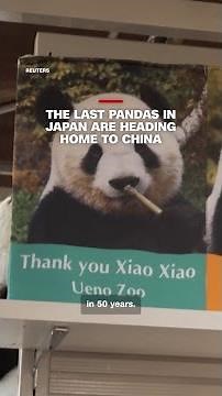 The last pandas in Japan are heading home to China