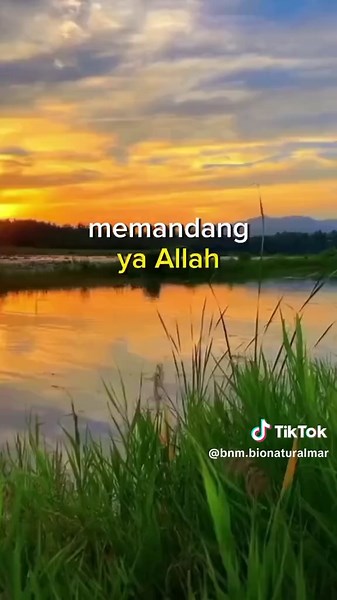 BNM (BioNaturalMarketing) (@bnm.bionaturalmar)’s videos with original sound - BNM (BioNaturalMarketing)