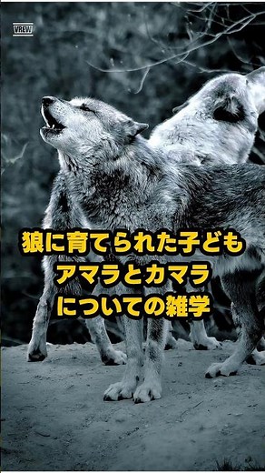 Trivia about Amara and Kamala, the "children raised by wolves."