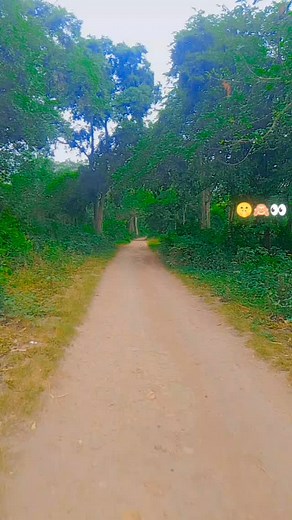 Amrit Kumar on Reels