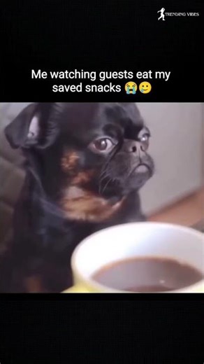 💚Me Watching Guests Eat My Snacks 😭🍿 #viralvideo #trending #funnyvideo #shorts