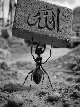 Small Ant, Powerful Lesson | Allah’s Creation 🐜SubhanAllah! Tiny Ant, Big Message 🐜✨