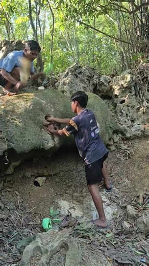 Diverting the issue so that the animals do not escape #explore #nature #wildlife