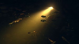 Watch LED Lights for Pond, Garden, and Landscape Features on Amazon Live