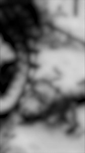 Stalin thought Finland would be an easy win. He vastly underestimated Finland's resolve and the brutal winter. What followed was a disaster for the Red Army. Finland's victory came from morale, tactics, and the harsh terrain. #WinterWar #Finland #MilitaryHistory #SovietUnion #HistoryFacts #Suomussalmi | Timeline - World History