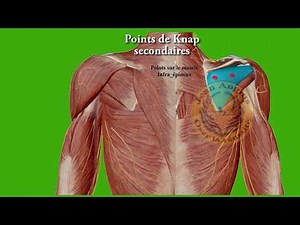 Magnétisme et douleurs musculaires : soulagez tensions et douleurs de l'épaule aux doigts !