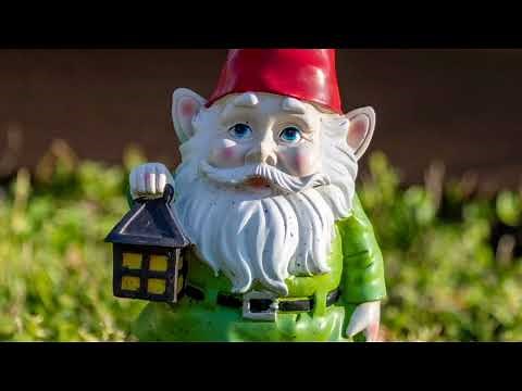 The History and Orgins Of the Gnome