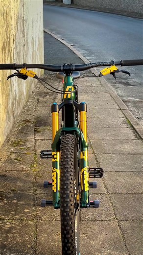 this custom paint job with real gold turned out so perfect #mtb #fyp #bike #viral #custom