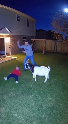 Goat Attacks Child in Backyard #goatattack #cctvfootages #cctvfootages