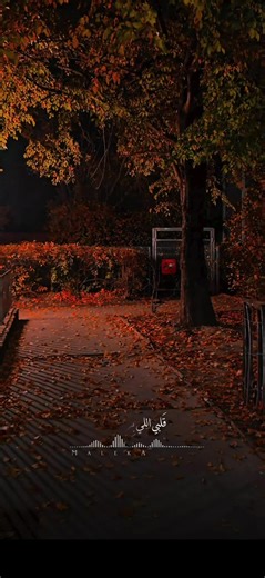 Tootaa ❤️ (@tootaa11225)’s videos with original sound - Tootaa ❤️