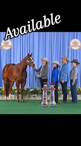 65 reactions · 4 comments | Ese A Cisco Kid (Ese A Looker x...