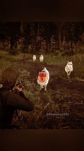 Using Arthur's Deadeye to Get Perfect Wolf Pelts #rdr2 #hunting #gameplay