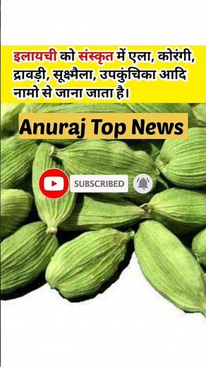 इलायची #anurajtopnews #youtubeshorts #no1shorts #no1trending #trendingviralshorts