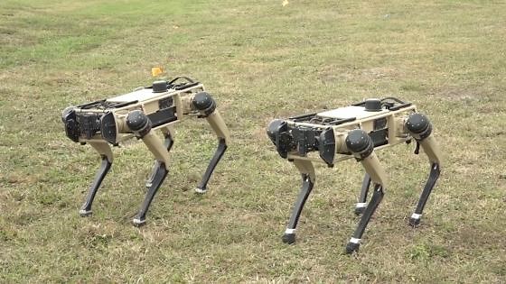 Ukraine deploys robot dogs to the battlefield