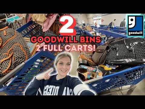 2 Goodwill Bins in 1 DAY! We’re Back In Portland And WE Got 💥2 FULL CARTS💥! +2 HAULS!