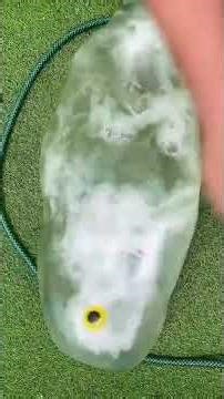 Inflating Toys! #asmrsounds