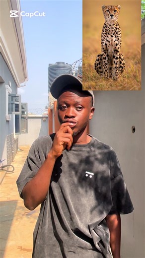 The Origin Story of the Cheetah's Name