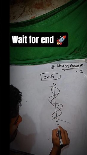 Class 12 Biology – Molecular Basis of Inheritance | Chapter 7