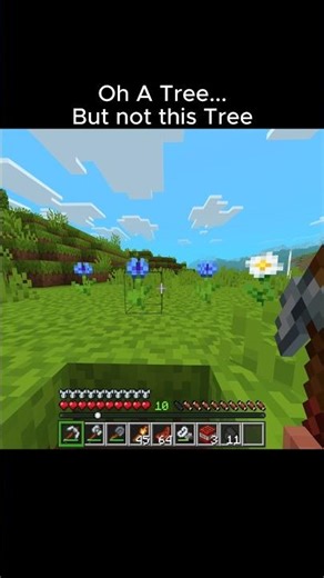 Some Players be like this 🤣 #minecraft #shorts