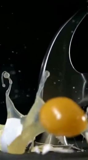 A single white egg gets smashed hard by a steel hammer, showing shell and yolk flying.