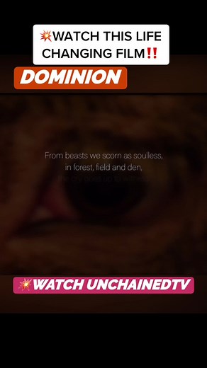 Watch Dominion: A Revealing Documentary on Animal Agriculture