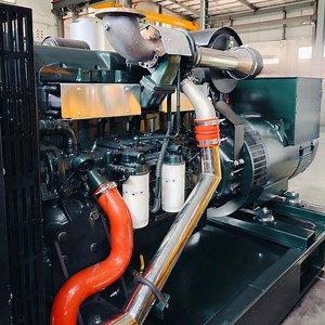 [Hot Item] Hot Sale Farm Use Continuous Power 100-500kw Biogas Natural Gas Generator