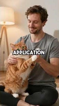 Zen Master Cat Fixes Human's Terrible Meditation Skills