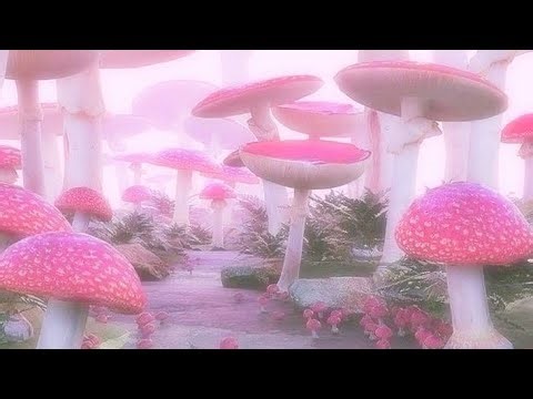 Weirdcore/Dreamcore/Aesthetic playlist compilation 4