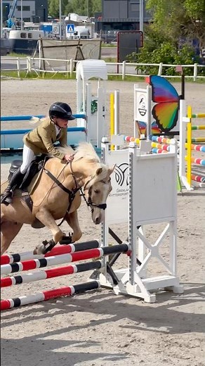 2nd Place for Ella & Casper🏆 #shorts #horse #equestrian