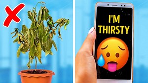 20 smart garden appliances, gadgets and hacks for every home: | 5-Minute Crafts Like