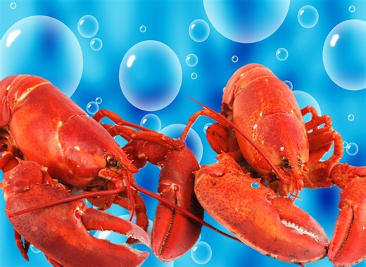 5 Chain Restaurants Where the Lobster Comes Live From a Tank