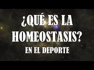 HOMEOSTASIS | ¿Qué es y para que nos sirve en el acondicionamiento físico y el deporte?