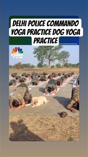 Delhi Police Commando yoga practis karte hue dog ke sath#india #army #shorts