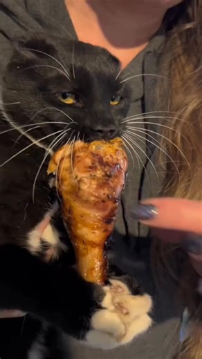 64K views · 1.1K reactions | Rare photos you've never seen before 勞 #historicalphotos #photography #historia #vintage #photo | OddlyAmazing | Facebook