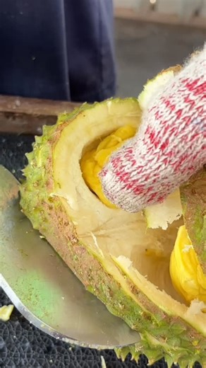 Eco Do Bem Cafe & Durian Park on Instagram: "‼️24/12/2025‼️Musang King 3 biji RM100 😋😋😋 pakej lain: ⚠️4 biji RM100⚠️ ⚠️3 biji RM100⚠️ ⚠️4 biji RM100⚠️ 🚗Deliver Melaka Area Only 📍 Lokasi: https://maps.app.goo.gl/PLYgM2GoLFAH5hq59 Sebarang pertanyaan, hubungi: ☎KS Tai - https://wa.me/60196281628 ☎Ms Joan - https://wa.me/60196263999 ☎Tai (Dickson) - https://wa.me/60194297455 #fyp #fyppp #fyppppppppppppppppppppppp #durianmusim #DurianSegar #musangking #blackthorn #udangmerah #durianpinang #duri