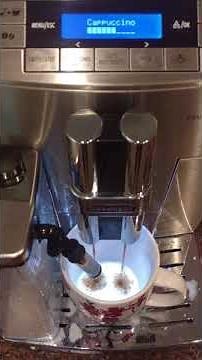 Delonghi ECAM26455M PrimaDonna Milk Frother Issue - FIXED!
