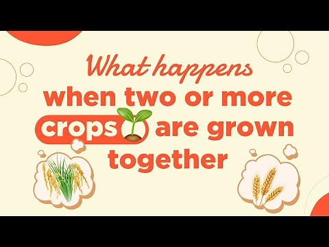 Cropping Pattern | Mixed & Inter Cropping | Irrigation | Biology