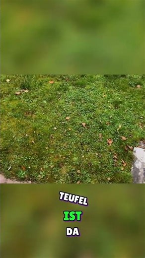 5 KRASSE Tipps für dein Ninebot Tuning 2026 – So machst du es einfach und effektiv! ⚡🚀