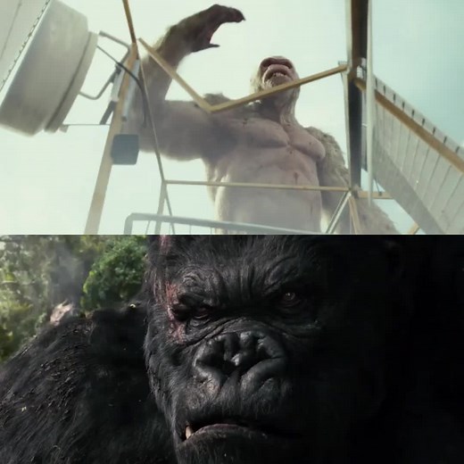 Differences Between King Kong and Gorilla Explained in Rampage Movie Scenes