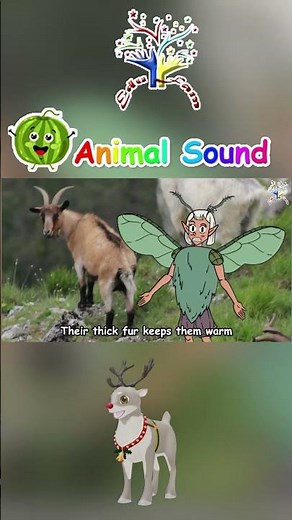 Tundra Animal Sound : Entertaining and Educational Song for Toddlers || Nursery Rhymes || EduFam ~