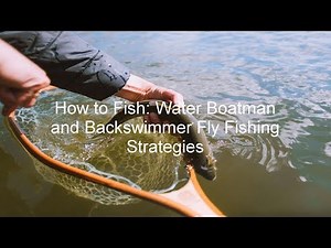 How to Fish: Water Boatman and Backswimmer Fly Fishing Strategies | GoFishBC
