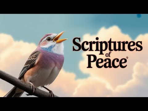 Healing Scriptures - Bird Song (1 HOUR) / INSTRUMENTAL / WORSHIP (Magi G)