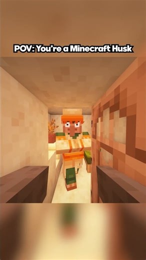 POV: You're a Minecraft Husk