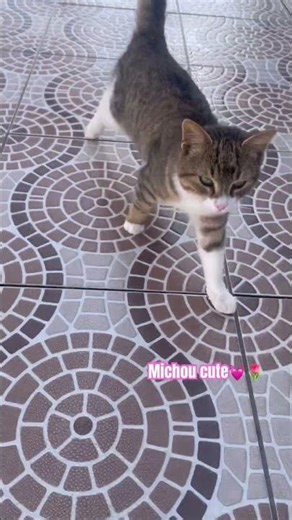 Michou cute🌷🩷💓🌸💕