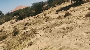 DHUL IIBA HARGAYSA #SOMALILAND WAA BALOODH JAANISA WUXUU KU YAALA MEEL LASIIYO BALOODHKEEDA 19,000 ilaa 18,000 . WAXAANA KAN LASIINAYAA 15,000 OO KALIYA ☎️0634747476 , WUXUU KA SOKEEYAA WADADA LABADA BOQOL . | Rasmi Real estate | Facebook