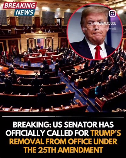 A United States Senator has officially called for the invocation of the 25th Amendment to remove President Donald Trump from office, marking a historic and volatile escalation in the nation's capital. The move comes amidst growing concerns regarding the President's fitness to govern, fueled by the administration's aggressive foreign policy decisions-including the recent military operations in Venezuela and the deployment of naval armadas against Iran—as well as the deepening economic instability