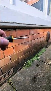 Why Your Bay Window Is Getting Damp – Rainwater Goods Defects Exposed