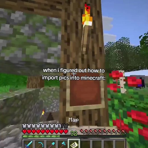 How to Import Pictures into Minecraft: A Step-by-Step Guide